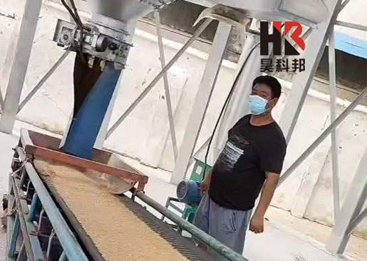 全鋼錐底鋼板倉采購 鍍鋅筒倉價(jià)格 雙層糧倉公司