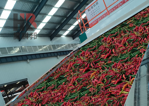 辣椒烘干機(jī)