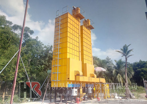 海南定安縣龍河水稻烘干現(xiàn)場