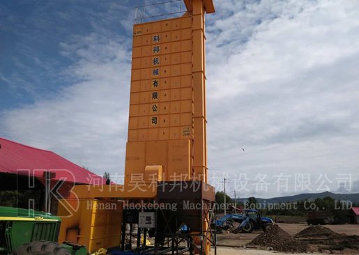 內(nèi)蒙古阿爾山35噸小麥油菜籽烘干機