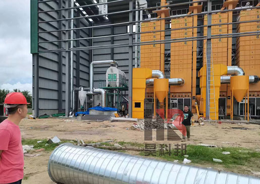 海南萬寧4-20噸稻谷烘干機及碾米線