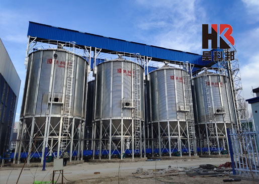 新疆阿瓦提8-300噸玉米種子倉