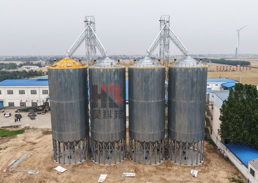 種業(yè)4000噸小麥倉儲項目